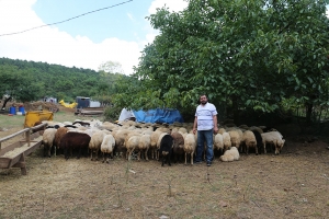 Sahibinden Adaklık Satış